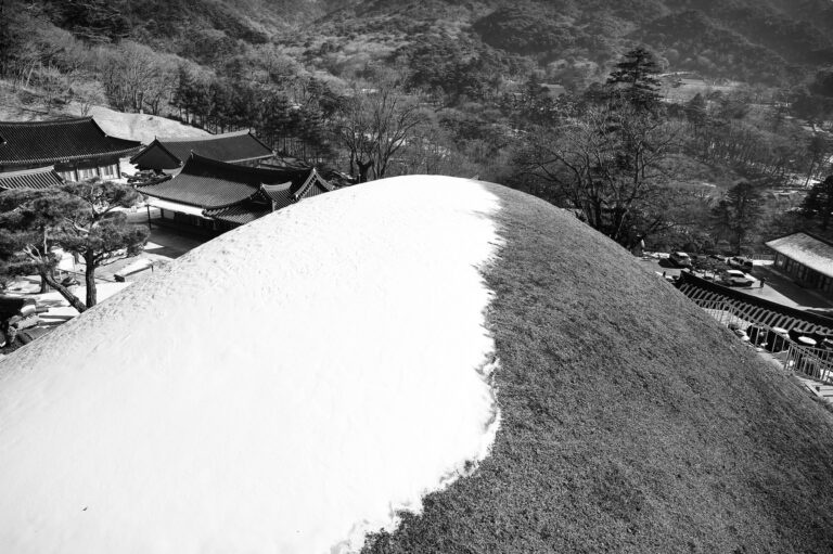 상무주 가는 길