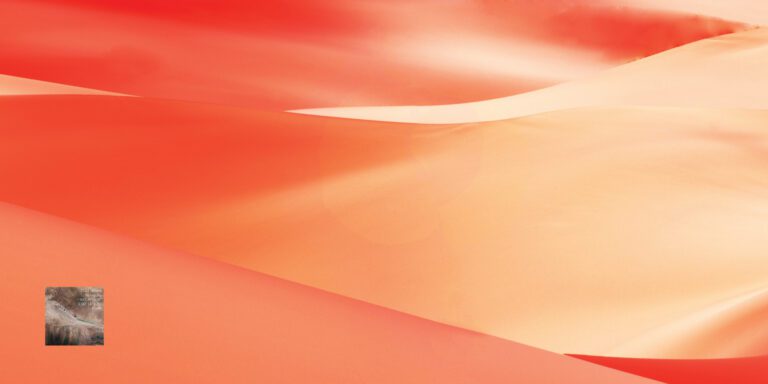 아무 것도 보지 못했다