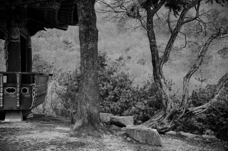 상무주 가는 길